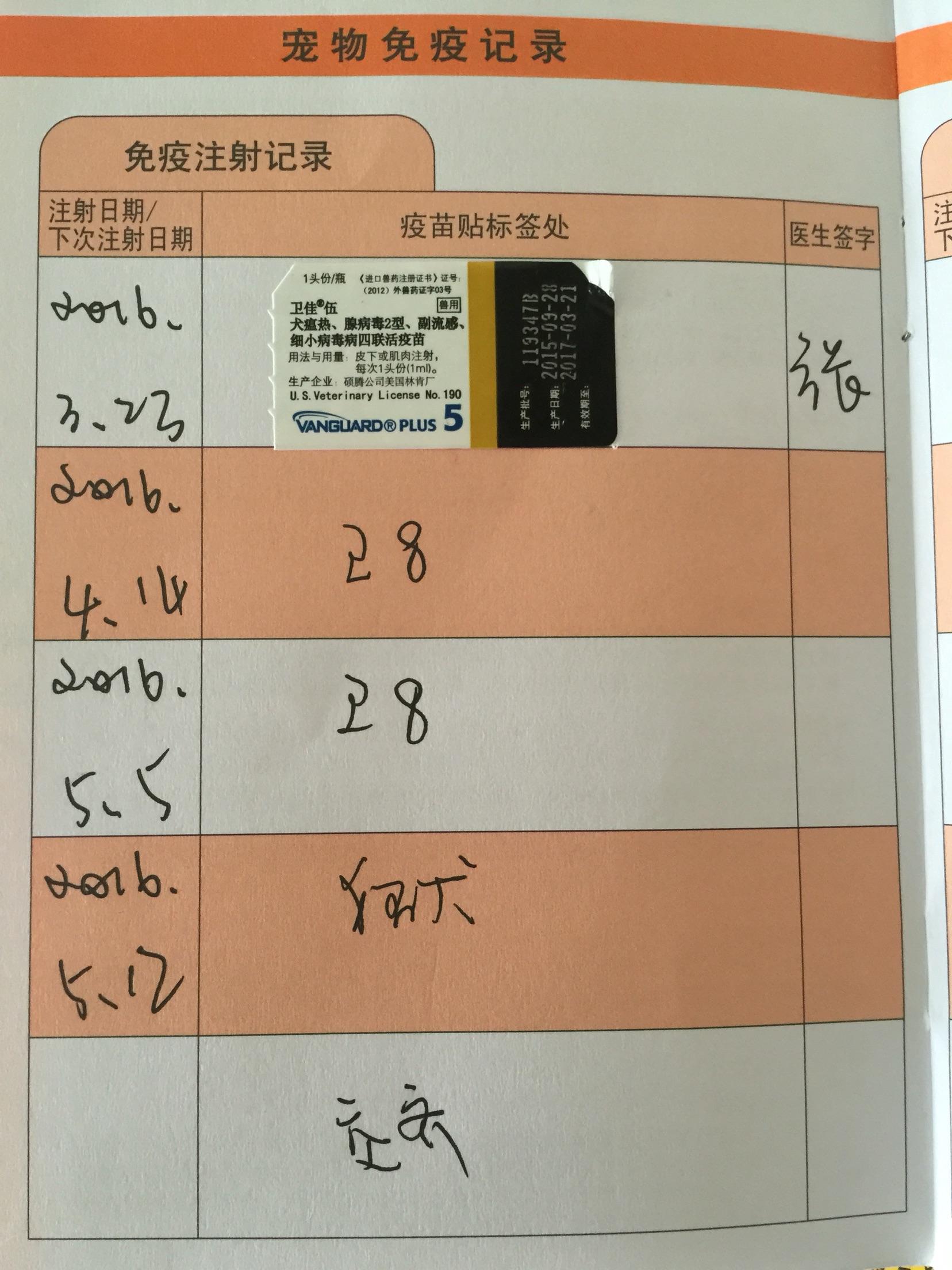 狗狗要打狂犬疫苗吗,狗狗打两针疫苗行吗