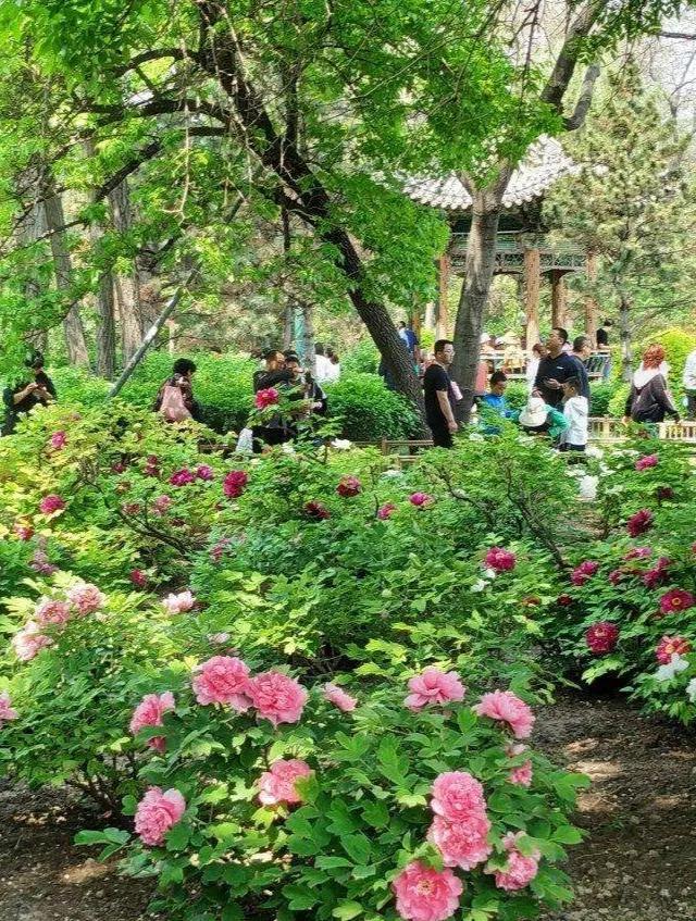 太原山清水秀视频,带你看看太原美丽风景