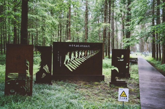 东台黄海森林公园,3000公顷森林公园畅游,绿色氧吧畅快呼吸