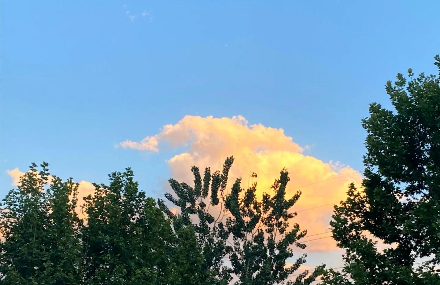 走近河北政法，欣赏夏日风光