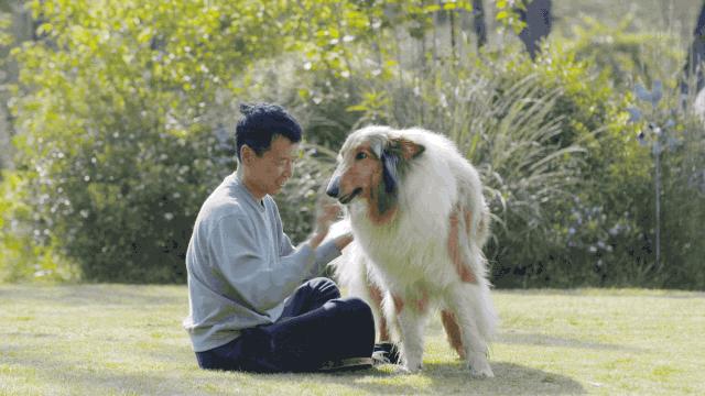 腾讯高管辞职隐居,腾讯元老隐居合肥