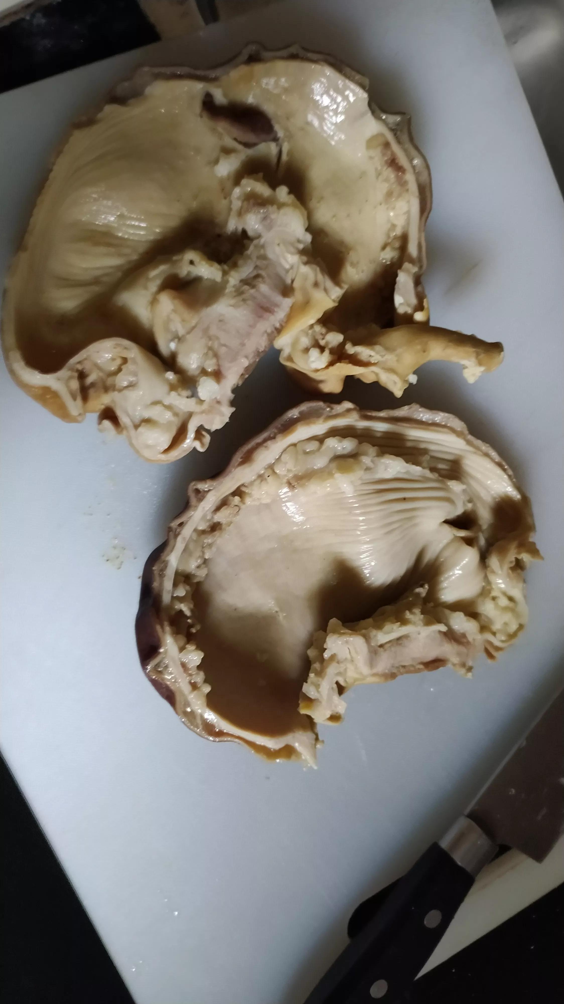 孩子上火吃喝什么凉茶,孩子上火药材汤