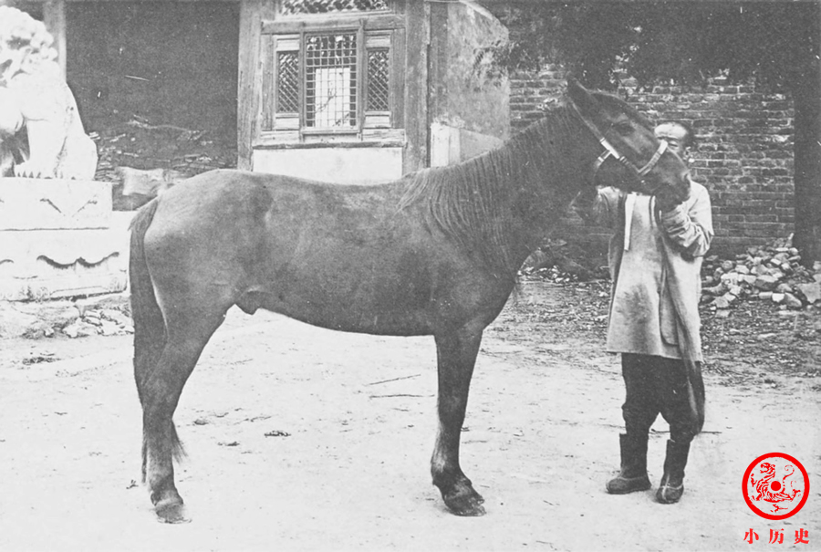 清朝真实影像慈禧太后,慈禧太后年轻时珍贵黑白老照片