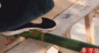 娶妻当娶李子柒小说作品列表,娶妻当娶李子柒前一句是啥