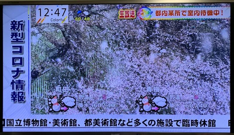 回国捡漏特价机票,国内机票9折