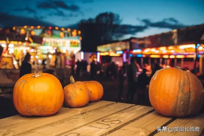 南瓜大作战攻略,南瓜大作战有几个地点