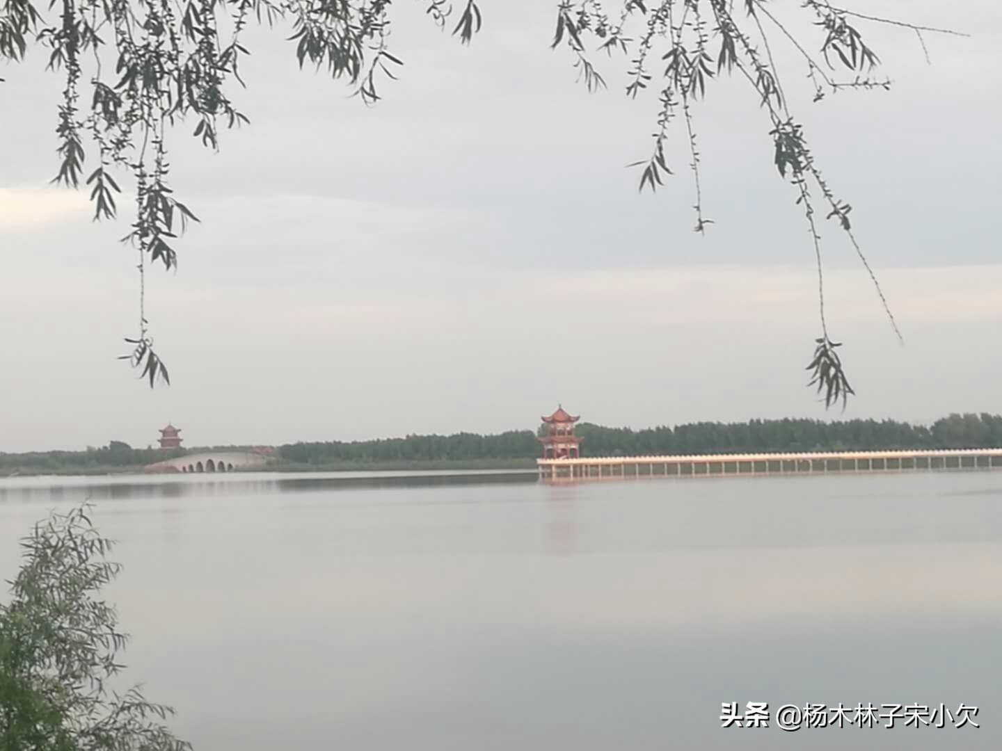 人类最大规模的*杀屠**，是房思琪式的*暴强**