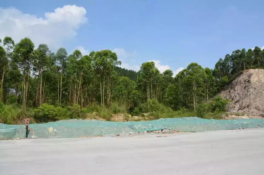 江门省实中学附属学校本科率,江门省实学校