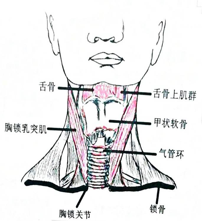 感冒失音,感冒失音怎么办
