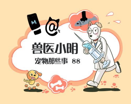 狗狗呼吸急喘是什么原因,狗狗哮喘病发作视频