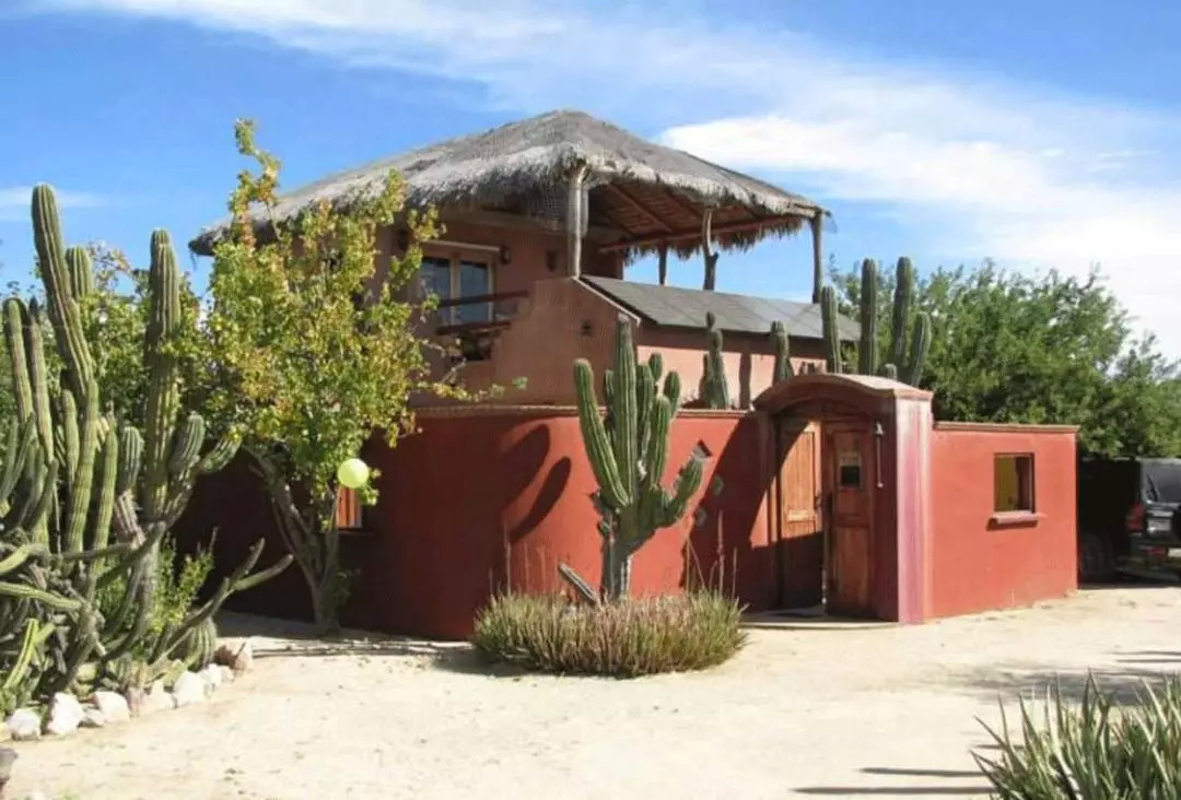 rihanna只靠副业微商赚6个亿,rihanna副业赚多少钱