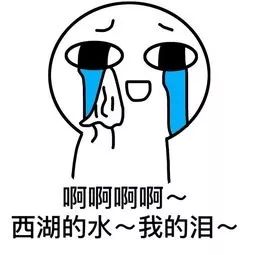 2019拿到驾驶证,2019拿到了驾照