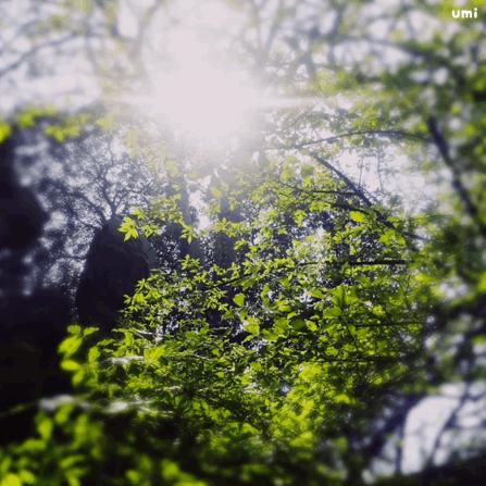 怀了二胎犹豫生不生,怀二胎运气不太好