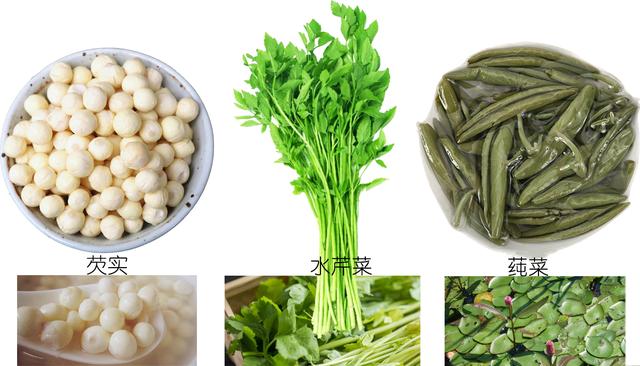 探索荸荠︱以及西关“泮塘五秀”是什么、何为江南“水八仙”？