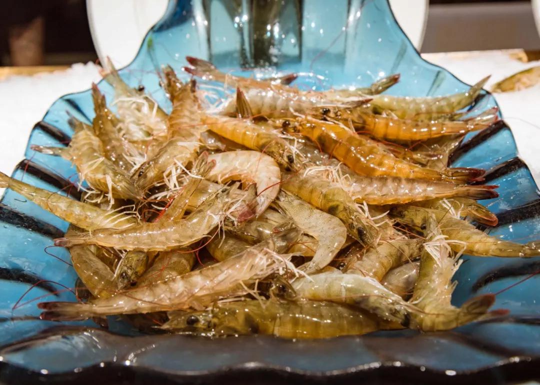 太强了！平价海鲜自助战斗机，0.63元/一道菜