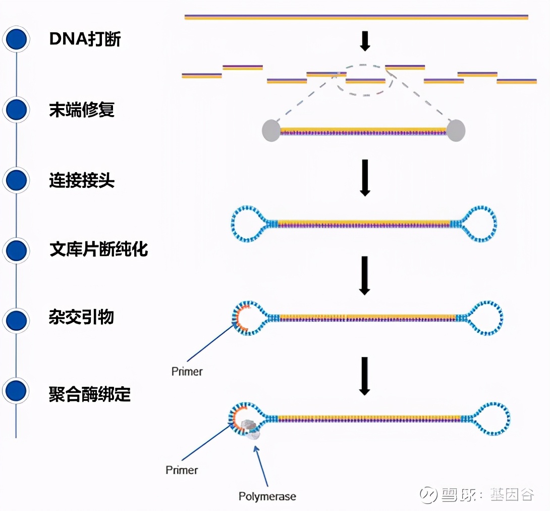 全场硬菜！分子诊断技术全解析