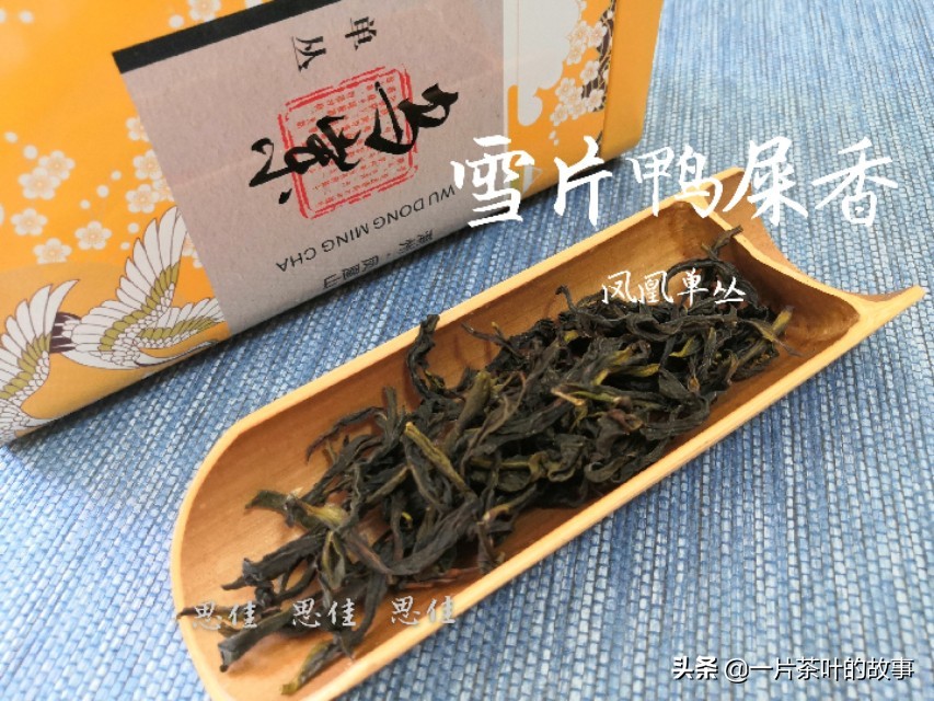 乌龙茶炒茶叶的正确方法和步骤,乌龙茶最合理的制作方法是什么