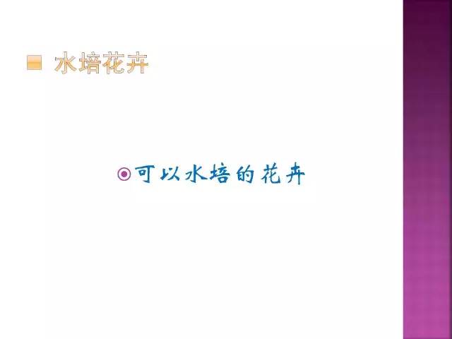 花卉大全500种观叶植物名称,1332种常见花卉植物图谱