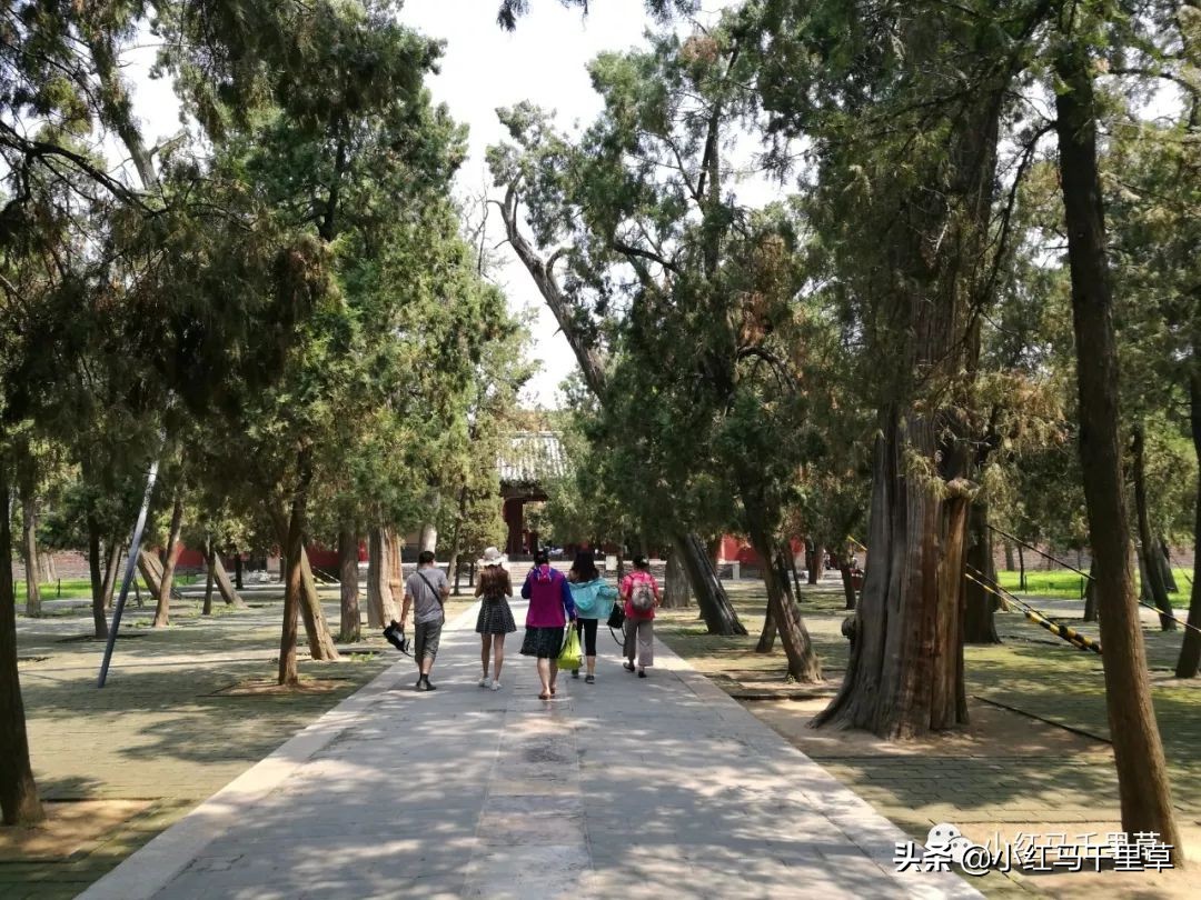 世界文化遗产曲阜孔庙孔林孔府,中国的世界文化遗产曲阜孔庙