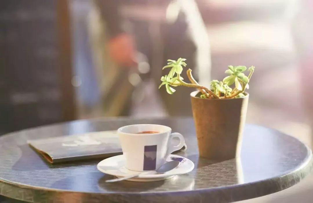 珍惜生命的最好方式就是先做自己,活出自己生命最好的状态