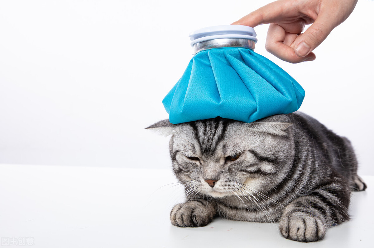 经常上火流鼻血有什么药可以调理,容易上火流鼻血是什么原因