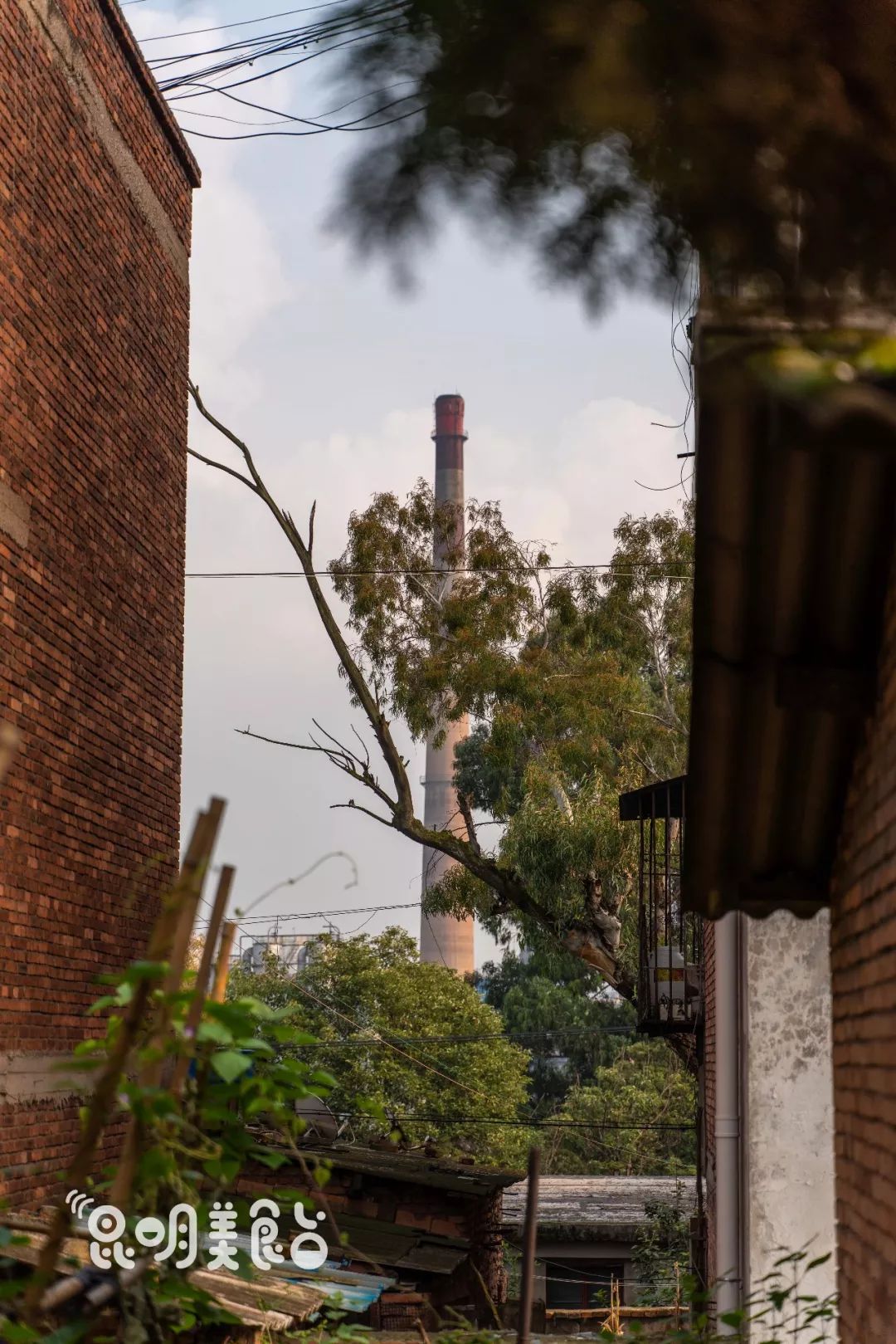 云南发展最快的县级市,云南发展最快的市