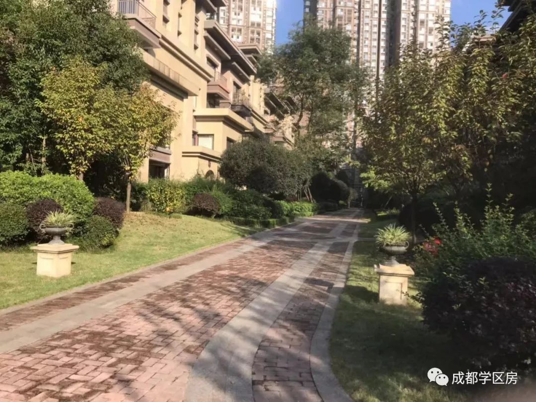 天府新区私立小学招生简章,天府新区第六小学对应初中