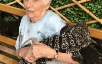 93岁奶奶恶搞27岁孙子，一夜爆红！1300万网友围观：奶奶太坑了