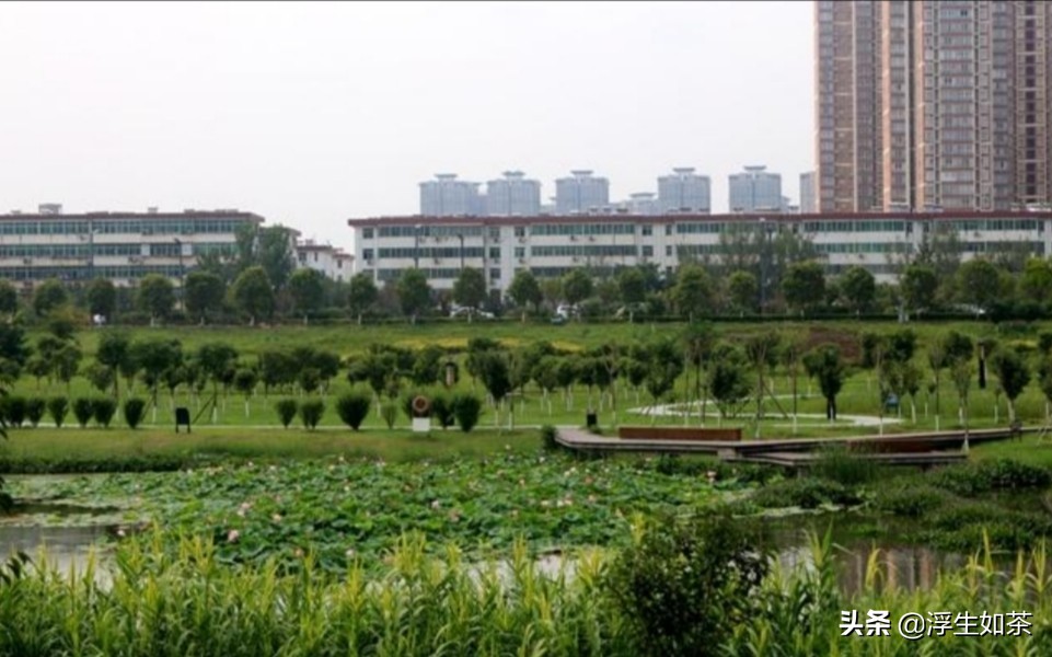 咸阳市渭柳湿地公园,咸阳渭城区渭柳湿地公园建设