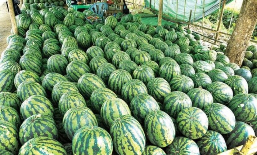 缅甸木姐口岸出口消息,缅甸进口水果口岸在哪里