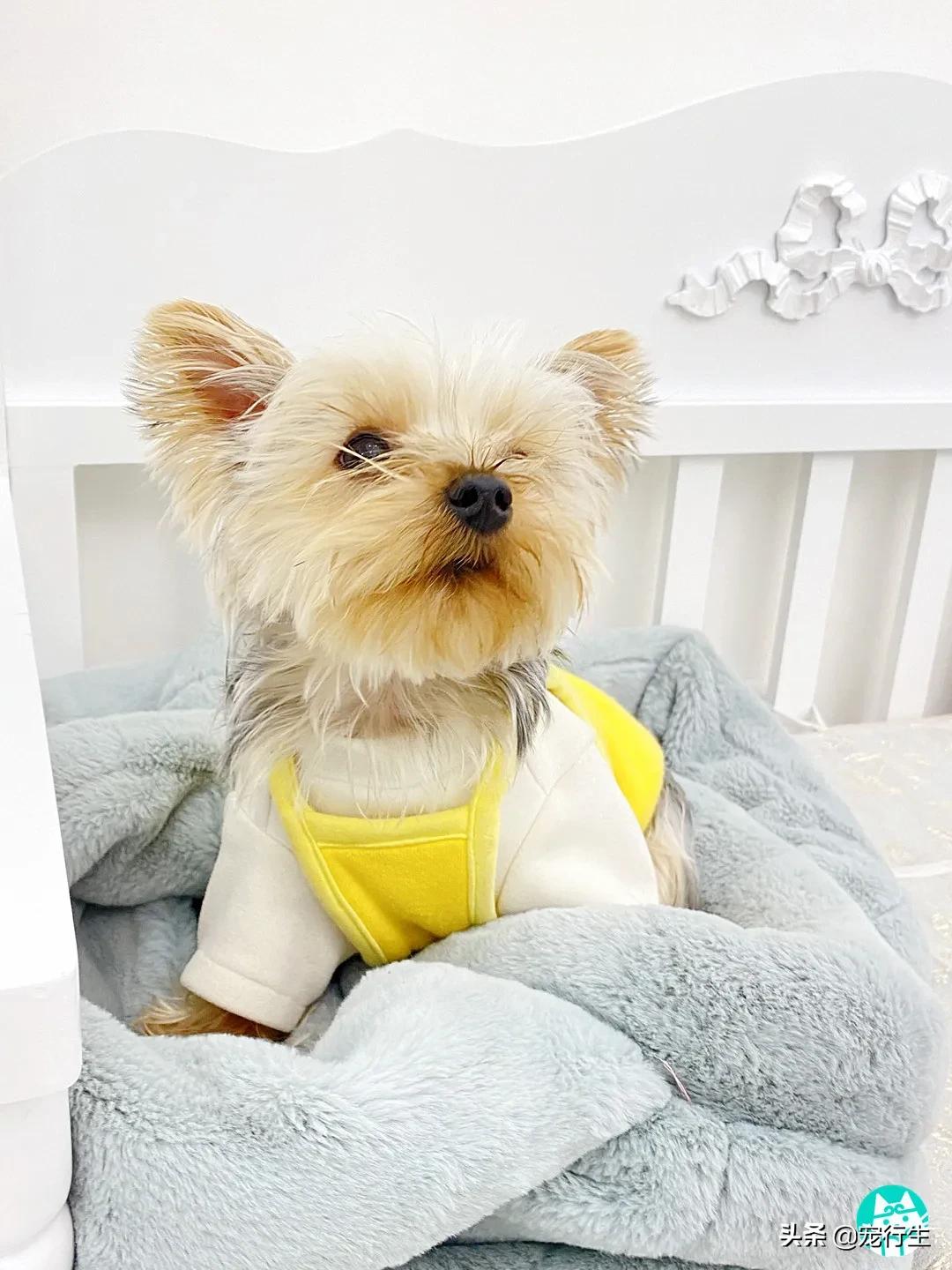 藏在写字楼里的服装店,藏在写字楼里的小店