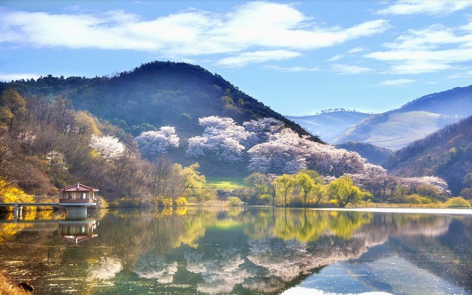 禄口机场国际航班最新通知今天,禄口机场今天航班信息