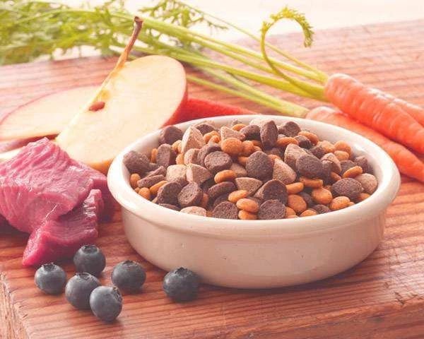 成年猫咪挑食不吃猫粮怎么纠正,猫咪挑食不吃猫粮怎么纠正呢