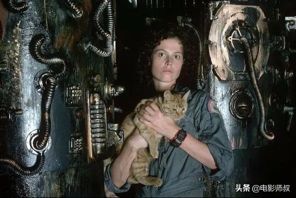 百试百灵,百试百灵视频