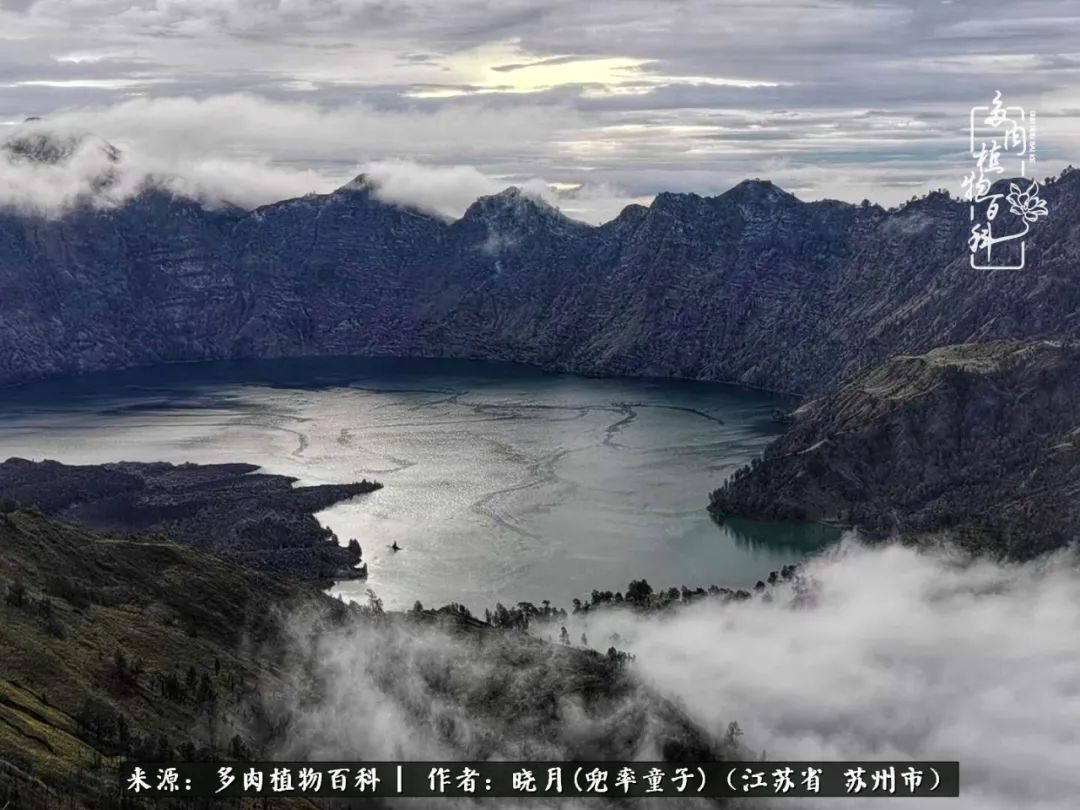 六年时间环游22个国家，却被多肉小萌物征服