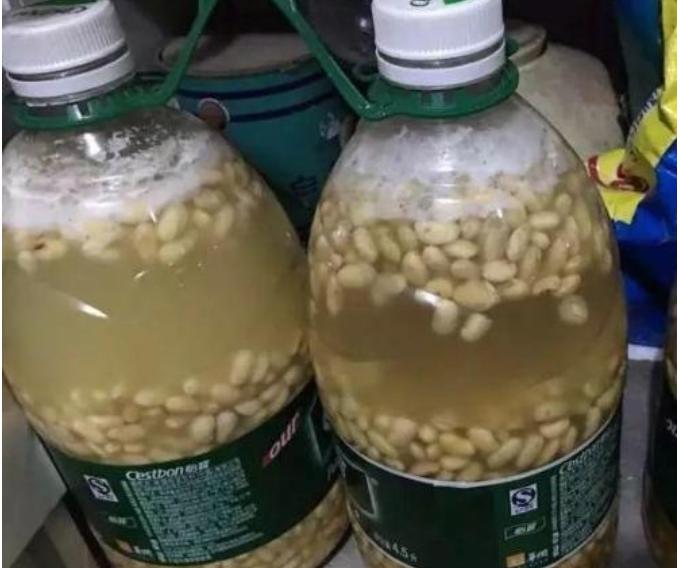 小苏打养花防烂根,小苏打养花方法花叶子发黄怎么办