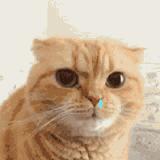 新一轮冷空气将影响广东深圳,降温降雨深圳新一轮冷空气到货