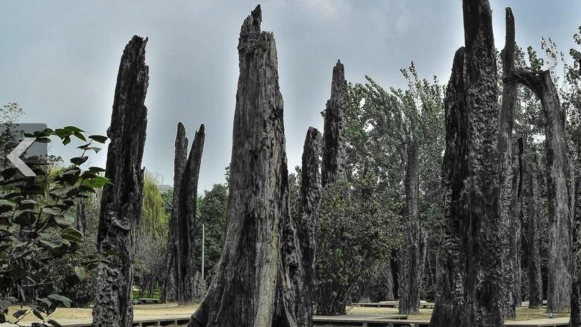 成都金沙遗址博物馆讲解,走进成都金沙遗址博物馆的感受