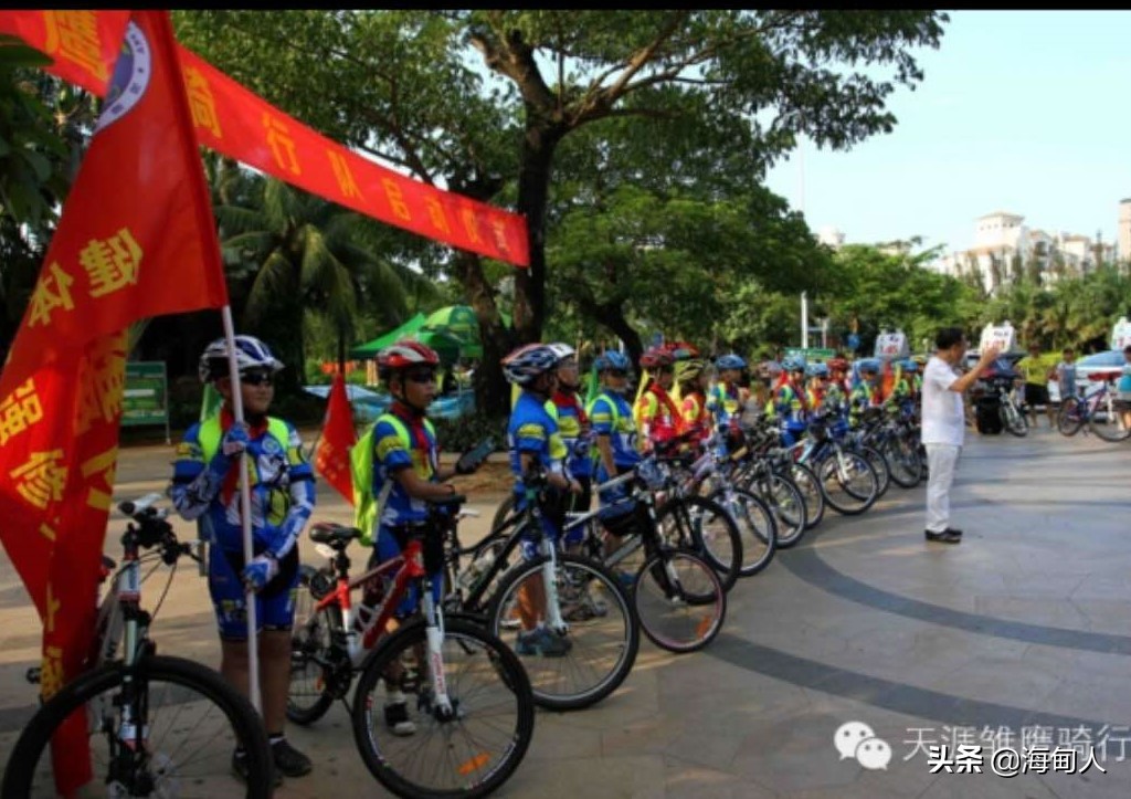 雏鹰之歌儿童版,雏鹰行动之歌