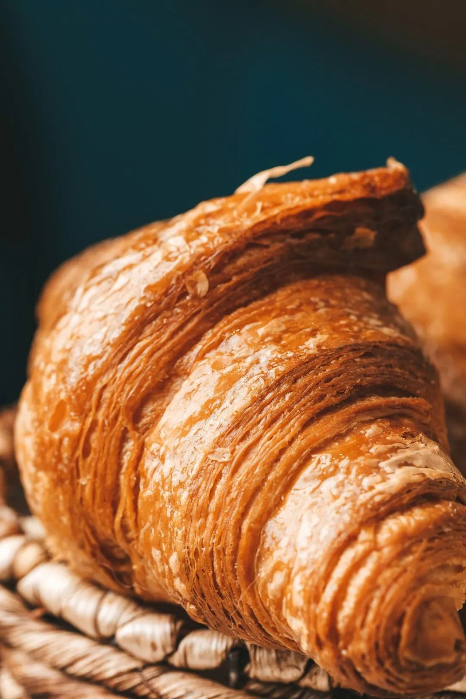 体育西蜂窝可颂，20+种口味！月售10w+