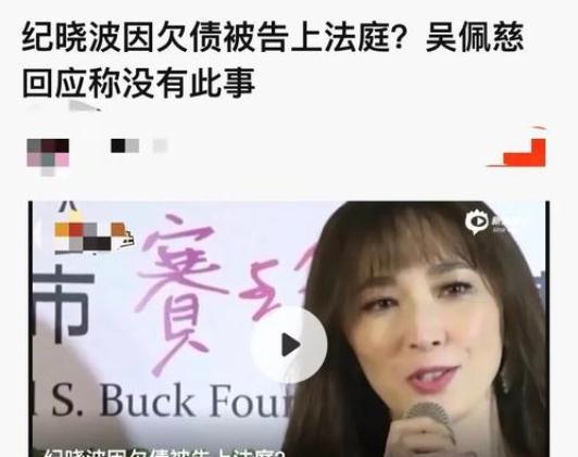 吴佩慈纪晓波不结婚原因,吴佩慈纪晓波是如何认识的