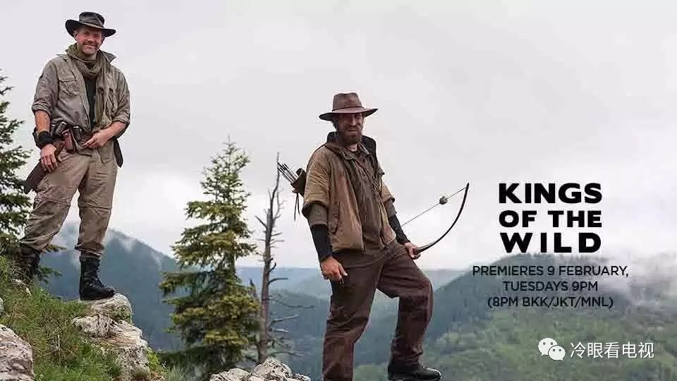 野生厨房深度解析,野生厨房都吃过哪些东西