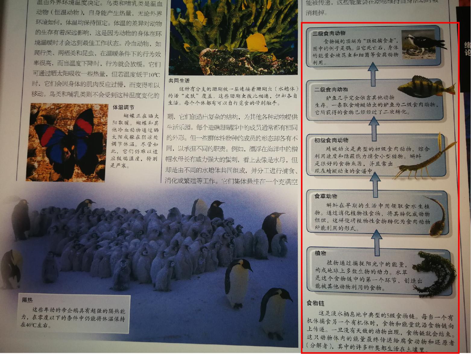 儿童动物百科知识启蒙,动物科普书籍推荐儿童