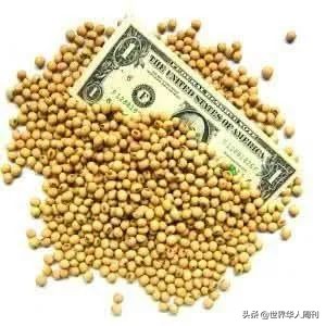 中国史上的粮食战,餐桌上的战争完整版