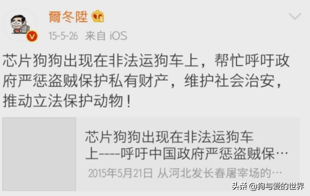 尔冬升怼哭郭敬明的时候 (尔冬升怼哭郭敬明是炒作吗)