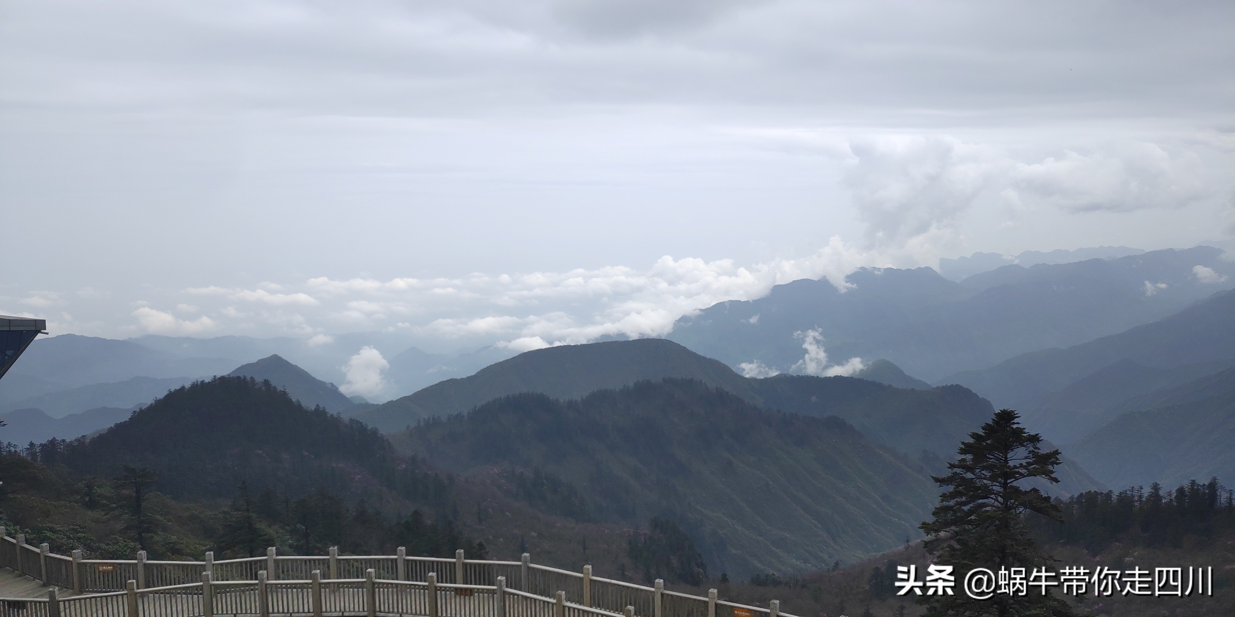 成都去西岭雪山两天一夜旅游团,成都出发雪山旅游