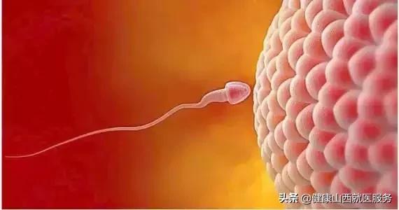 精子死精成活率低应怎么调理,精子是活的还是死的怎么判别