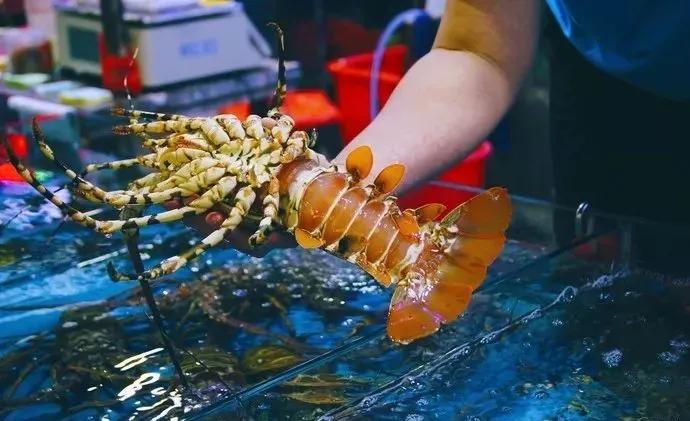 去了三亚不跟团,去了三亚不看海