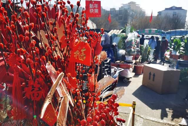 天津市中环花鸟鱼虫市场的位置,天津中环花鸟鱼虫市场现在开了吗