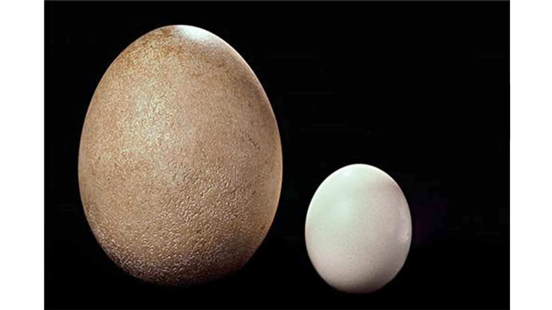 男人你真的了解自己吗,男人们真的了解自己的妈吗